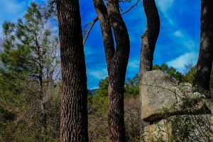 Eco-Friendly Outdoor Exploration: Sustainable Travel Tips for Nature Lovers