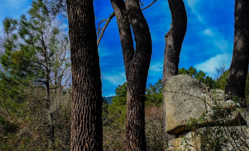 Eco-Friendly Outdoor Exploration: Sustainable Travel Tips for Nature Lovers