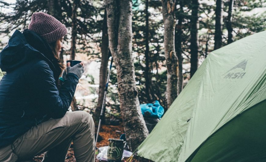 Embracing the Unknown: A Journey into the Wild